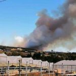 Onemi declara Alerta Roja en la comuna de Cholchol por incendio forestal
