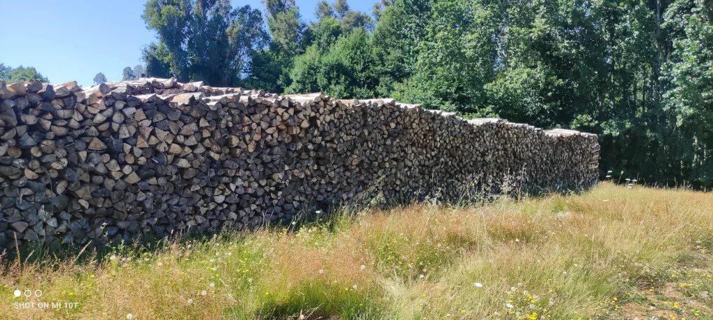 Programa “Leña Más Seca” beneficiará a 11 productores regionales